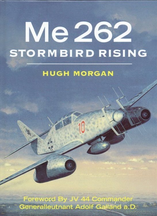 Image for ME 262 STORMBIRD RISING ME 262 STORMBIRD RISING