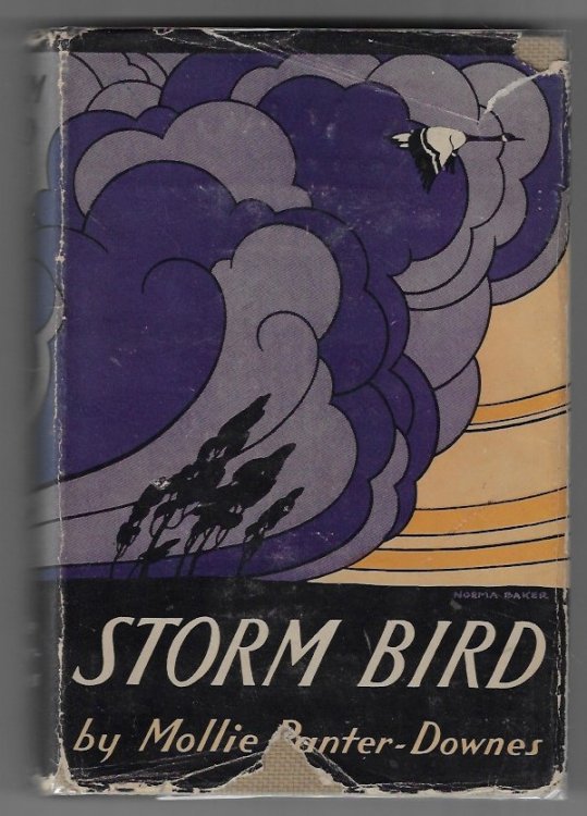 Storm Bird