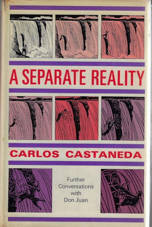 A Separate Reality; Further Conversations with Don Juan