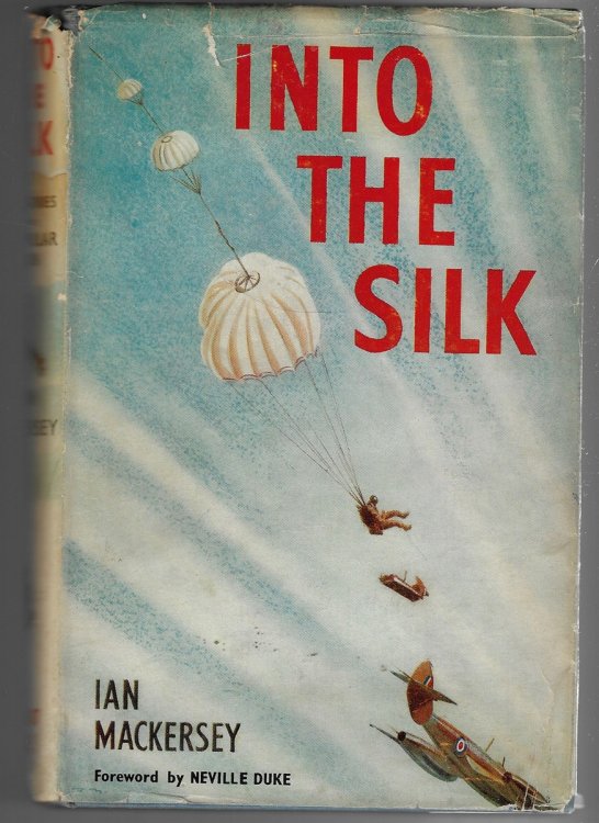 Image for Into the Silk: True Stories of the Caterpillar Club Into the Silk: True Stories of the Caterpillar Club