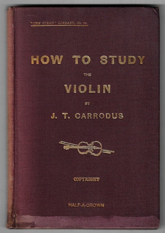 Chats to Violin Students on How to Study the Violin