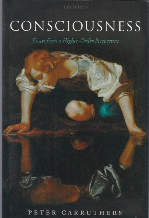 Image for Consciousness Essays from a Higher-Order Perspective Consciousness Essays from a Higher-Order Perspective