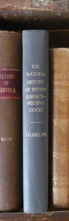 Image for The Natural History of the British Surface-feeding Ducks The Natural History of the British Surface-feeding Ducks
