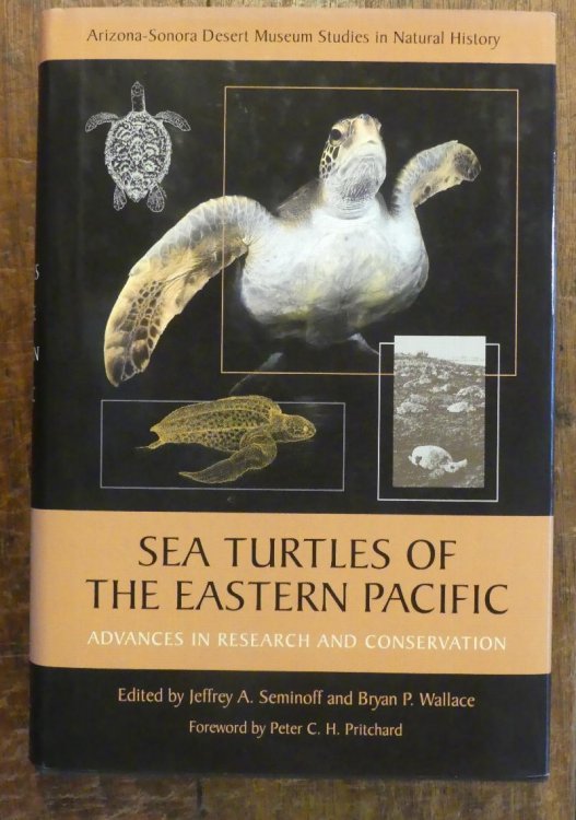 Image for Sea Turtles of the Eastern Pacific. Advances in Research and Conservation (Arizona-Sonora Desert Museum Studies in Natural History series) Sea Turtles of the Eastern Pacific. Advances in Research and Conservation (Arizona-Sonora Desert Museum Studies in Natural History series)
