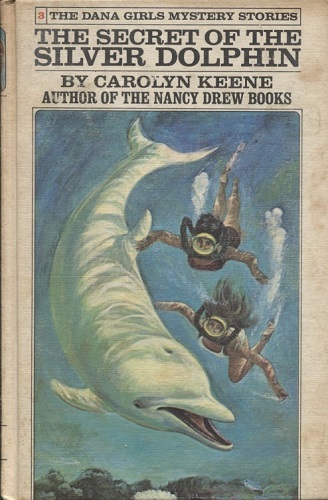 Image for The Secret Of The Silver Dolphin The Secret Of The Silver Dolphin