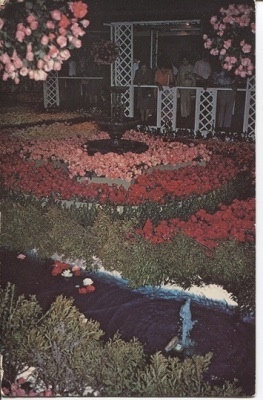 Image for Texas Rose Festival, Rose Show, Tyler Texas Rose Festival, Rose Show, Tyler
