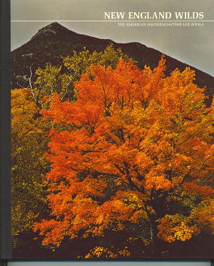 Image for New England Wilds New England Wilds