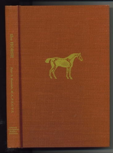 The Horse