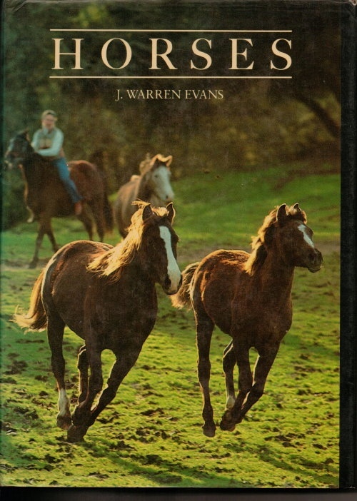 Image for Horses A Guide to Selection, Care, and Enjoyment Horses A Guide to Selection, Care, and Enjoyment