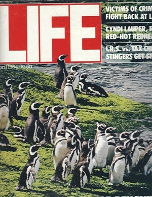 Image for Life Magazine, April, 1984 Penguins Life Magazine, April, 1984 Penguins