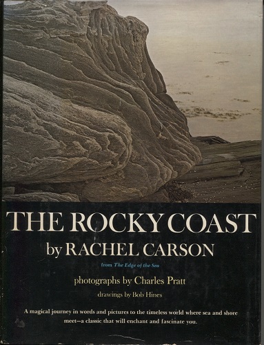 Image for The Rocky Coast The Rocky Coast