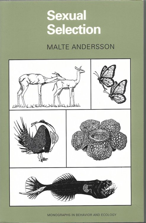 Image for Sexual Selection Sexual Selection