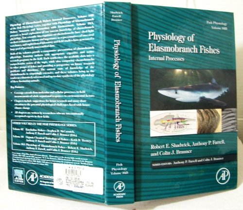 Image for Physiology of Elasmobranch Fishes: Internal Processes: Physiology of Elasmobranch Fishes: Internal Processes: