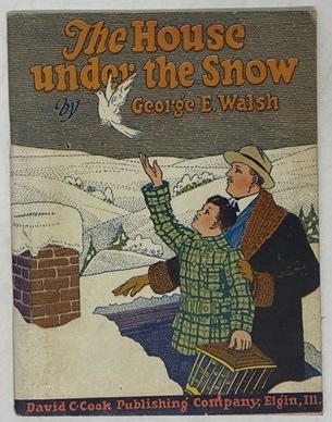 Image for The House under the Snow The House under the Snow