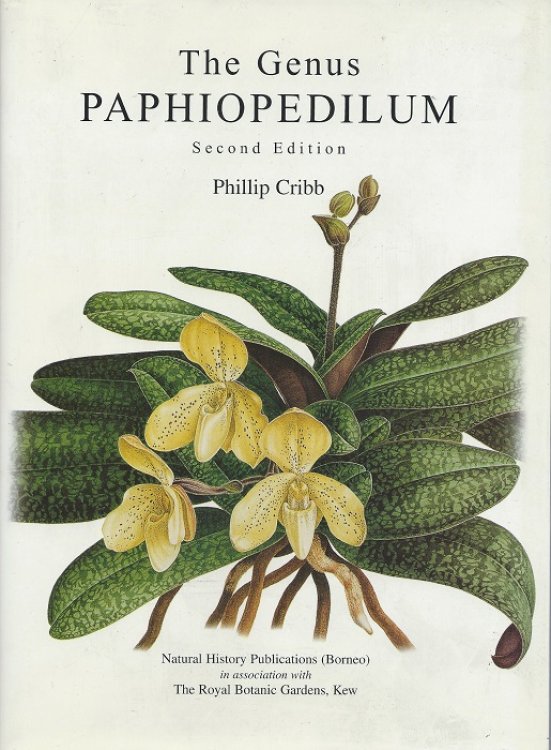 Image for The Genus Paphiopedilum (Second Edition 1998) The Genus Paphiopedilum (Second Edition 1998)