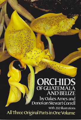 Image for Orchids of Guatemala and Belize Orchids of Guatemala and Belize