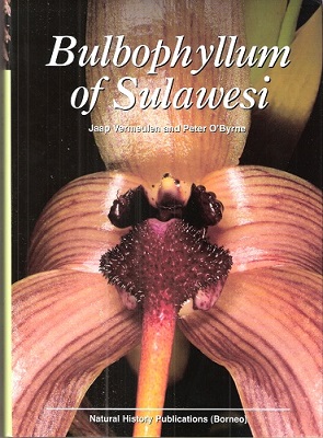 Image for Bulbophyllum of Sulawesi Bulbophyllum of Sulawesi