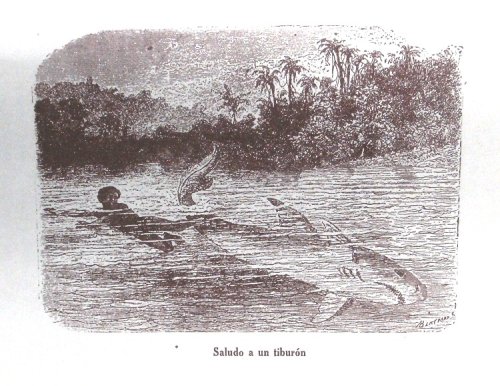 Image for Viaje al la Sierre Nevada de Santa Marta - Paisajes de la Naturaleza Tropical (version Castalleana por J.J.) Viaje al la Sierre Nevada de Santa Marta - Paisajes de la Naturaleza Tropical (version Castalleana por J.J.)
