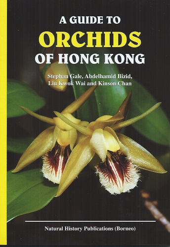 Image for A Guide to Orchids of Hong Kong A Guide to Orchids of Hong Kong