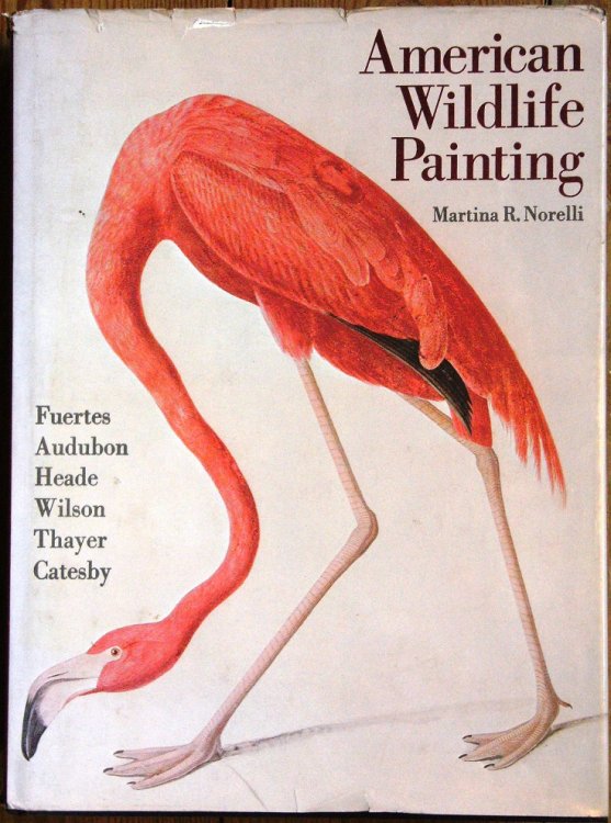 Image for American Wildlife Painting American Wildlife Painting