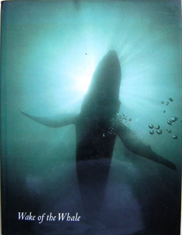 Image for Wake of the Whale Wake of the Whale