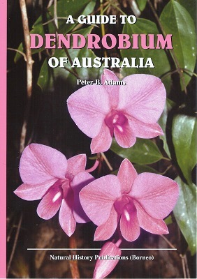 Image for A Guide to Dendrobium of Australia A Guide to Dendrobium of Australia
