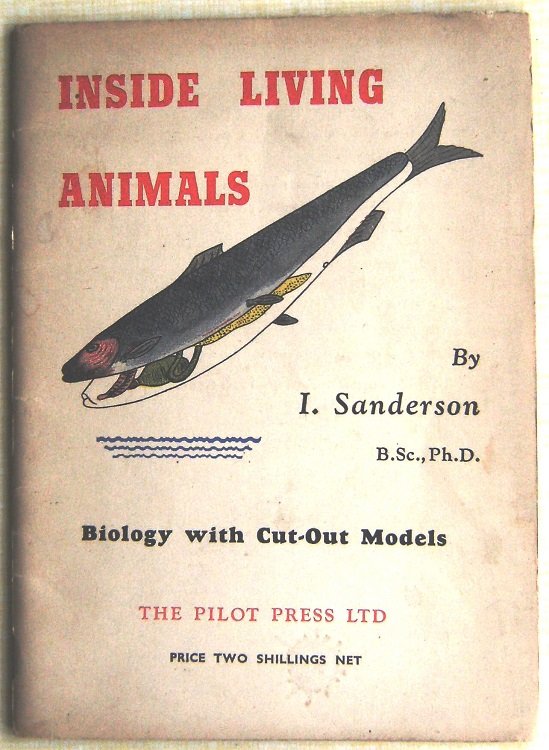 Image for Inside Living Animals (Biology with cut-out models) Inside Living Animals (Biology with cut-out models)