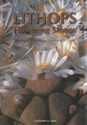 Image for Lithops - Flowering Stones Lithops - Flowering Stones