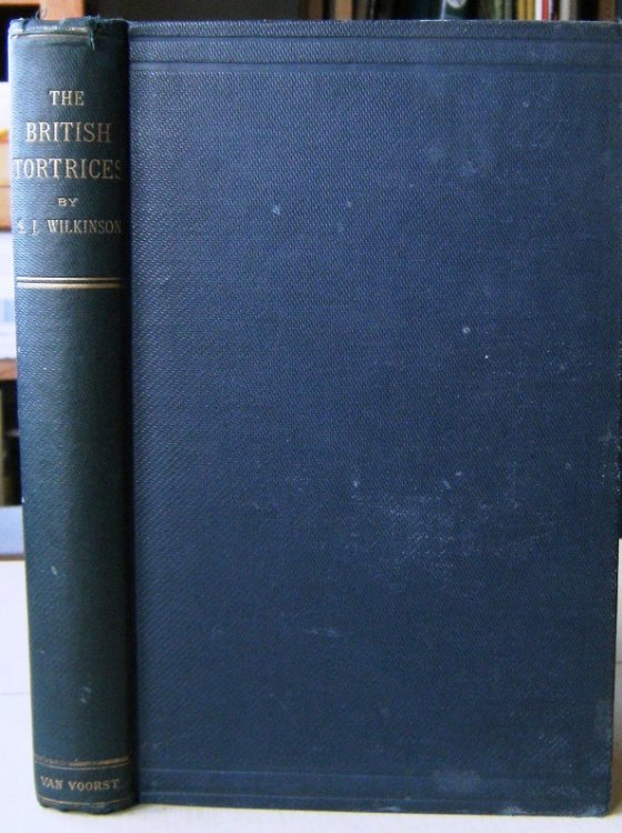 Image for The British Tortrices The British Tortrices