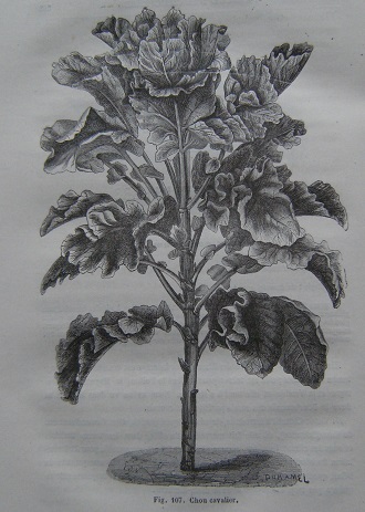 Les Prairies Artificielles (Prairies et Plantes Fourrageres)