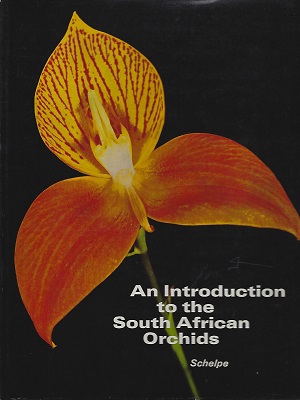 Image for An Introduction to the South African Orchids An Introduction to the South African Orchids