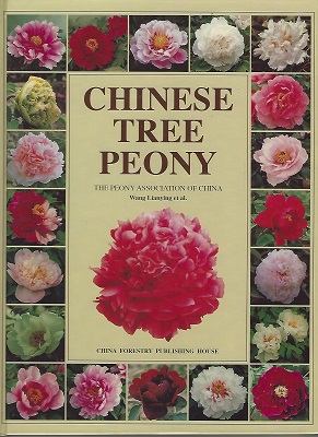 Image for Chinese Tree Peony Chinese Tree Peony