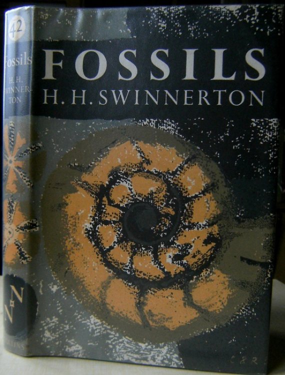 Image for Fossils Fossils