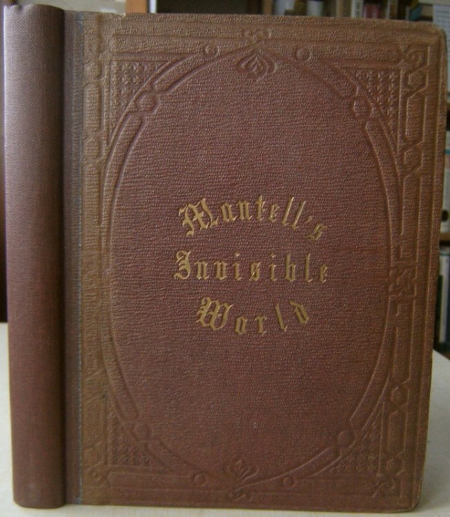 Image for Thoughts on Animalcules: or, a Glimpse of the Invisible World Revealed by the Microscope Thoughts on Animalcules: or, a Glimpse of the Invisible World Revealed by the Microscope