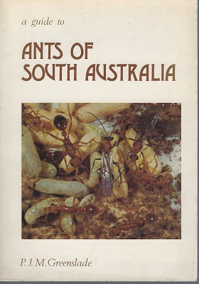 Image for A Guide to Ants of South Australia A Guide to Ants of South Australia