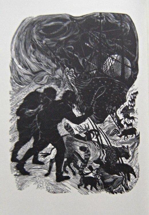 Image for The Moon Dies The Moon Dies