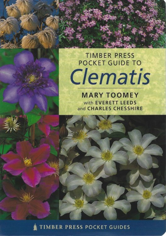 Image for Timber Press Pocket Guide to Clematis Timber Press Pocket Guide to Clematis