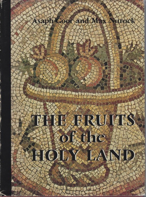 Image for The Fruits of the Holy Land The Fruits of the Holy Land