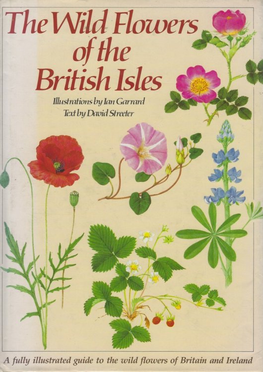 Image for The Wild Flowers of the British Isles The Wild Flowers of the British Isles