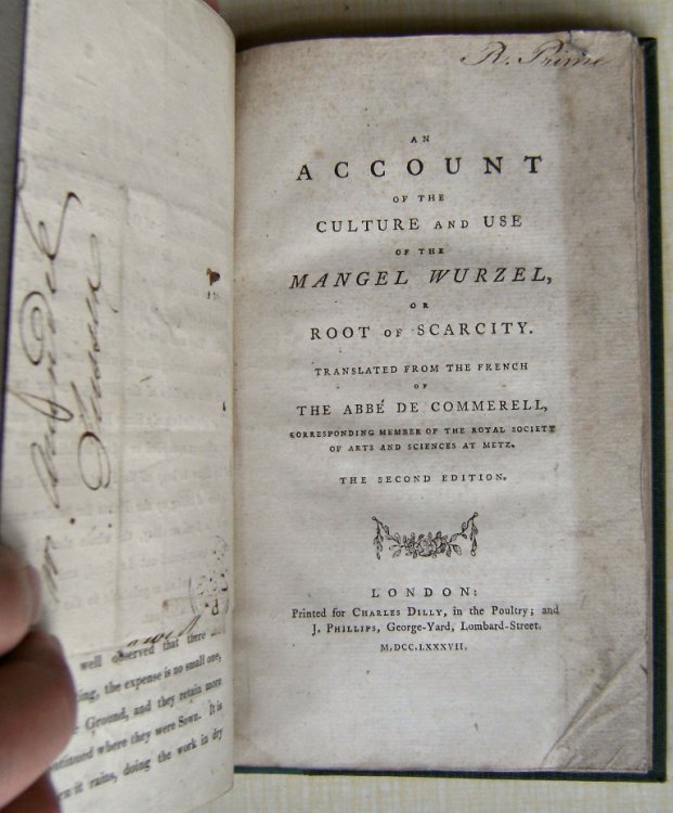 Image for An Account of the Culture and Use of the Mangel Wurzel : Or Root of Scarcity An Account of the Culture and Use of the Mangel Wurzel : Or Root of Scarcity