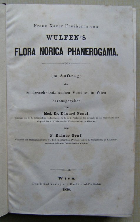 Image for Flora Norica Phanerogama; im auftrage des zoologisch-botanischen vereines in Wien, herausgegeben von Dr Eduard Fenzl und P. Rainer Graf Flora Norica Phanerogama; im auftrage des zoologisch-botanischen vereines in Wien, herausgegeben von Dr Eduard Fenzl und P. Rainer Graf
