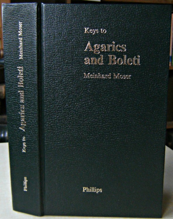 Image for Keys to Agarics and Boleti (Polyporales, Boletatales, Agaricales, Russulales) Keys to Agarics and Boleti (Polyporales, Boletatales, Agaricales, Russulales)