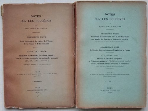 Image for Notes sur les Fougeres, Notes 1 - 5 Notes sur les Fougeres, Notes 1 - 5