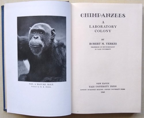 Image for Chimpanzees - A Laboratory Colony Chimpanzees - A Laboratory Colony