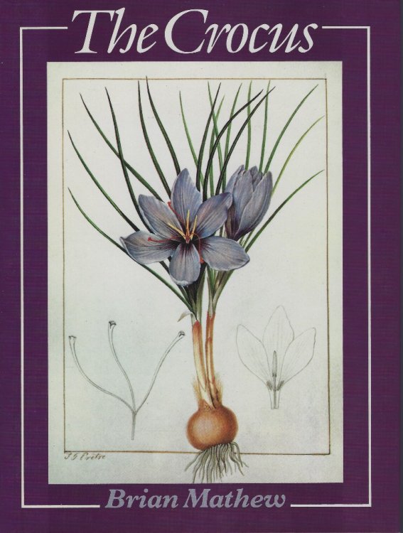 Image for The Crocus - a Revision of the Genus Crocus (Iridaceae) The Crocus - a Revision of the Genus Crocus (Iridaceae)