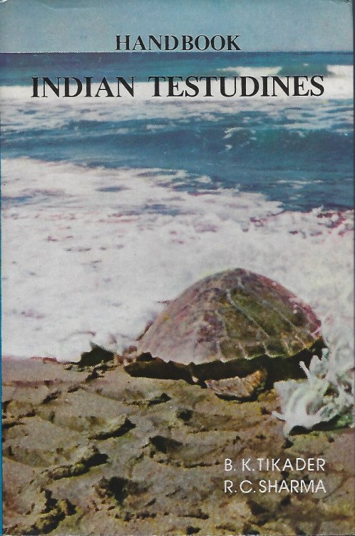 Image for Handbook Indian Testudines Handbook Indian Testudines