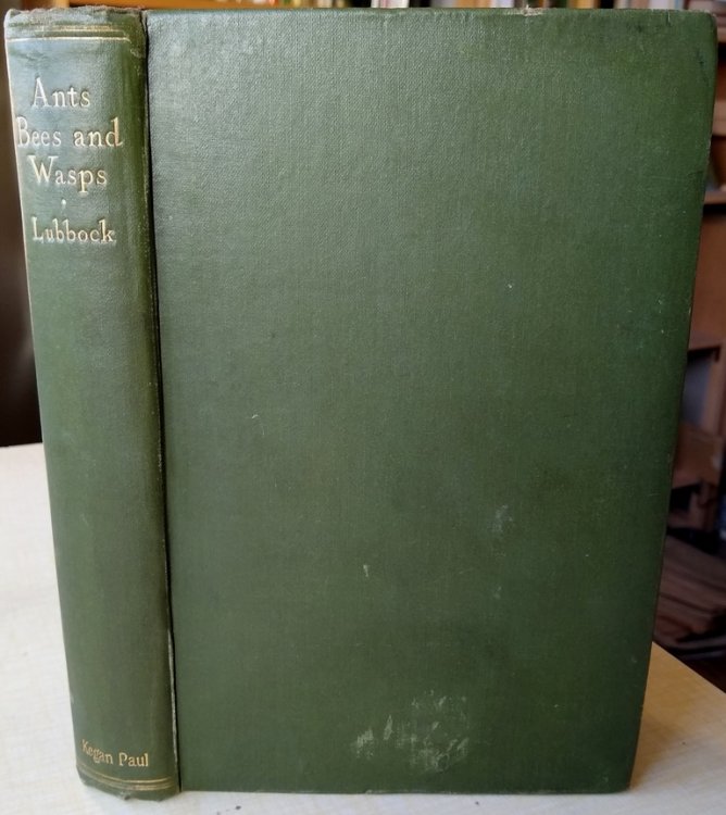 Image for Ants Bees and Wasps - a record of observations on the habits of the social Hymenoptera Ants Bees and Wasps - a record of observations on the habits of the social Hymenoptera