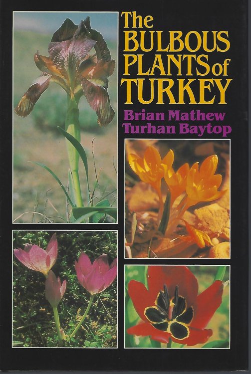 Image for The Bulbous Plants of Turkey - an Illustrated Guide to the Bulbous Petaloid Monocotyledons of Turkey. The Bulbous Plants of Turkey - an Illustrated Guide to the Bulbous Petaloid Monocotyledons of Turkey.
