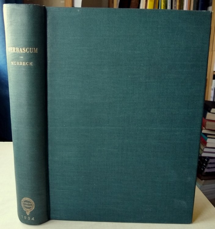 Image for Monographie der Gattung Verbascum (with extra illustrations) Monographie der Gattung Verbascum (with extra illustrations)