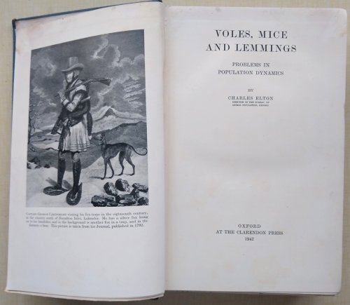 Image for Voles, Mice and Lemmings - problems in population dynamics Voles, Mice and Lemmings - problems in population dynamics